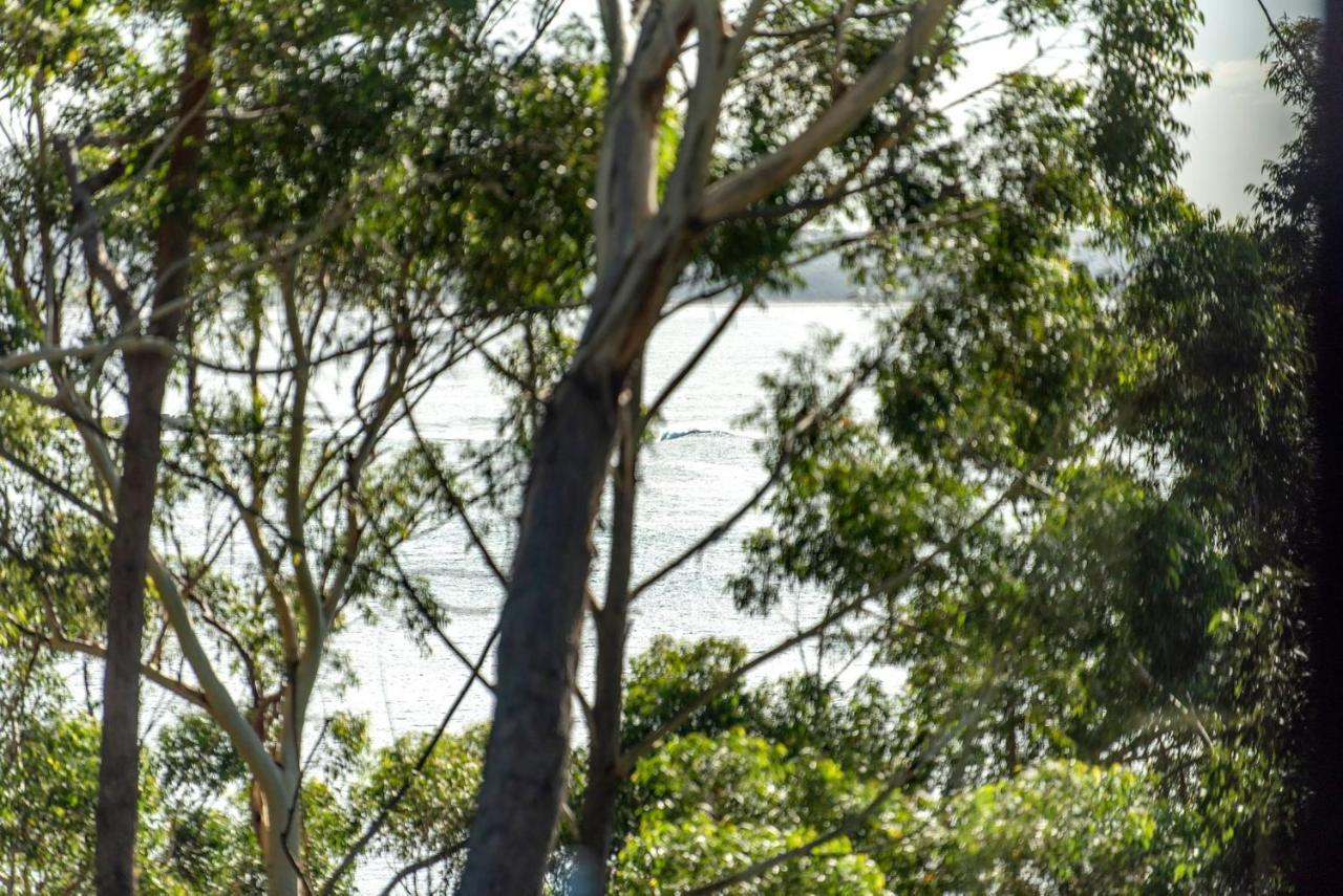 Tallwood Canopy Narrawallee 外观 照片